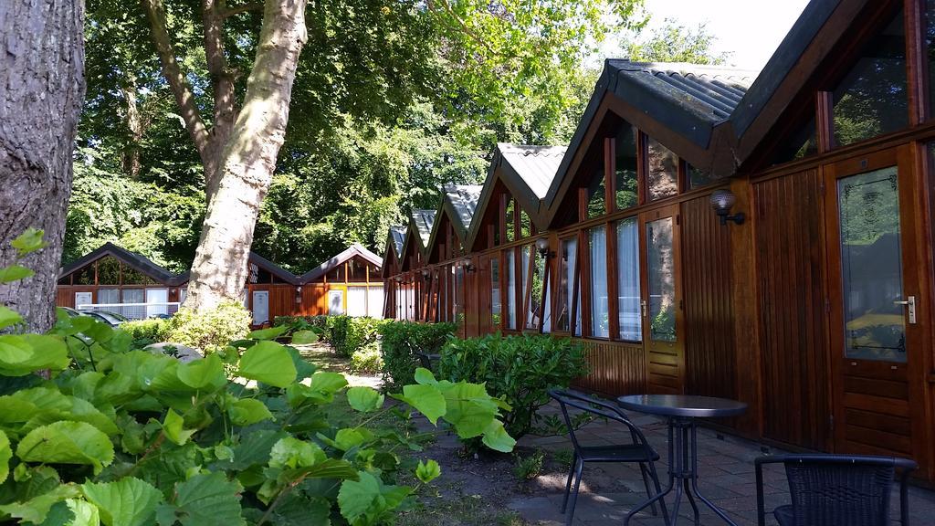 Motel Oostvoorne Rum bild